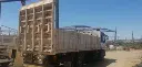 PEGASO 5.webp