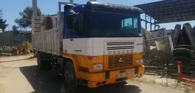 [0381BSN] 524 - PEGASSO - RH